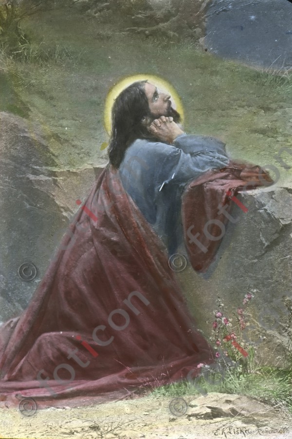 Christus betet im Garten Gethsemane am Ölberg | Christ prays in the garden Gethsemane at the Mount of Olives (simon-134-042.jpg)